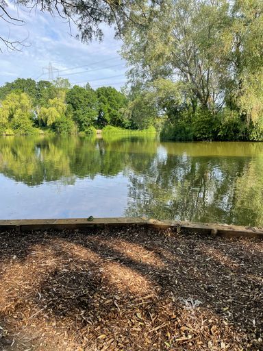 New swims being installed at Gt Melton lake.