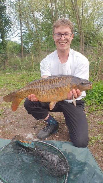 A nice old 8 1/2lb mirror carp.