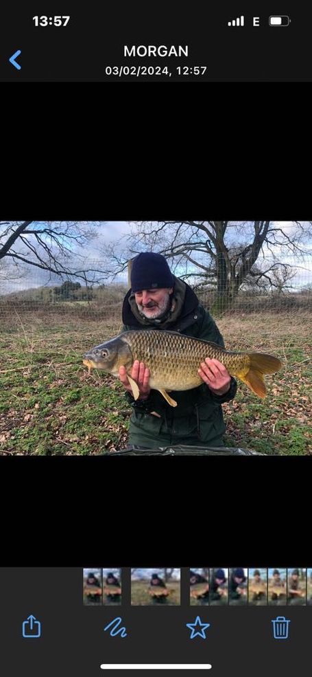 A nice plump winter carp.